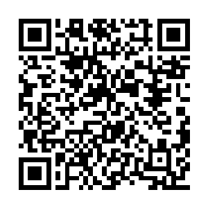 你们可不要把我们魔西四鬼和孟军那个废物相比二维码生成