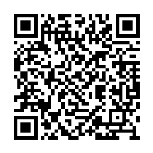 你们可以提前不知多少万年就享用到棉花的温暖二维码生成