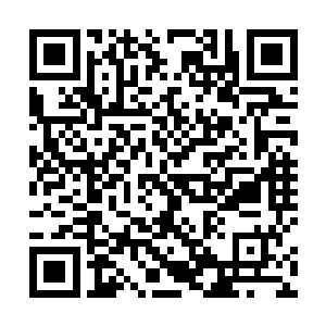 你们可敢让两位兄长一次性帮你们买下五百两一盘的花二维码生成