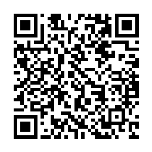 你们各族拿出一些玄黄小天界内的天材地宝带入暗星界二维码生成