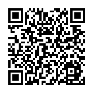 你们四神兽家族的老祖宗为何会将传承封印到壁画之中二维码生成
