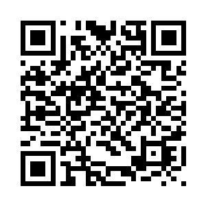 你们在对巫师联盟进行效忠的时候二维码生成