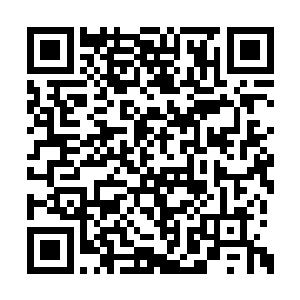 你们在这里等着让他把我们一个个的全都干掉吗二维码生成