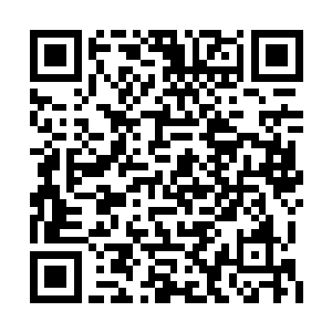 你们太阳系战队将和洛克星战队进行第一轮淘汰二维码生成