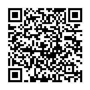 你们好像也投了我们新海岸的室内装修工程投标的是吧二维码生成