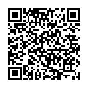 你们家族还有四天时间可以决定是要留下还是要离开二维码生成