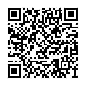 你们家老大跟那个王八羔子之间的关系很是平淡二维码生成