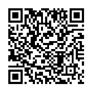 你们家里人该担心是不是被这小子给骗到哪儿去做坏事了二维码生成