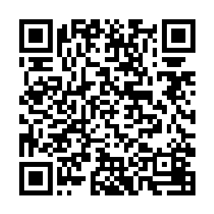 你们对付后面的图腾神兽和首领我会逼迫裂天魟往西二维码生成