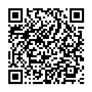 你们将大地族族长和和那些前来双雄仙城的圣级修士斩杀一空二维码生成