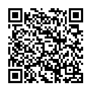 你们就不奇怪为什么我婶儿突然下贴子请孙夫人过来啊二维码生成