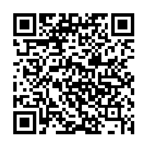 你们就已经丢掉了身为人类最值得骄傲和守护的东西二维码生成