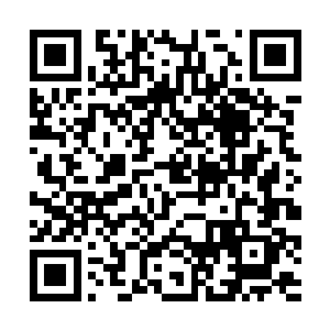 你们就是李鸿章……你们如果是单纯的进行国内支持二维码生成