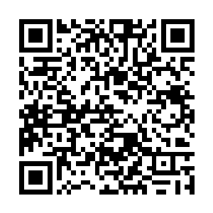 你们已经获得自由了……如果不想在这里继续等死二维码生成