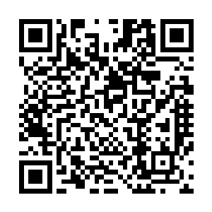 你们应该就能理解为什么世龙仙人会一直对她无法忘怀了吧二维码生成