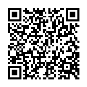 你们得在投奔我们许家的十一家挑选完山峰之后二维码生成