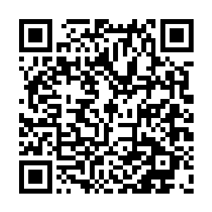 你们忘了我可是会中国古老而神奇的易容术了吗二维码生成
