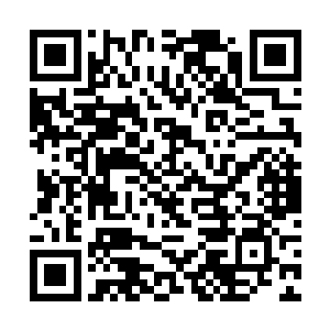 你们想要活命唯一的办法就是以更快的速度杀掉他们二维码生成