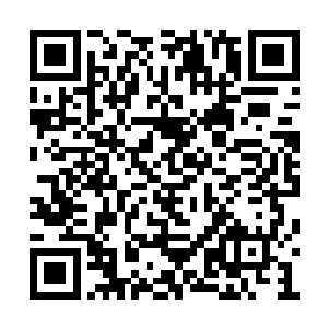 你们愿意以这样的方式效忠大帝那我也无话可说二维码生成