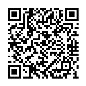 你们手中资料上介绍的修者实力并没有夸夸其谈二维码生成