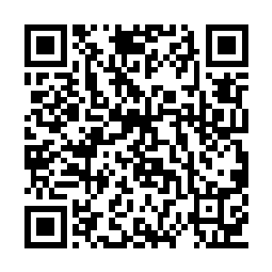 你们接下来将要面对的这位首长有些许的小洁癖二维码生成