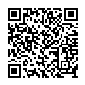 你们新来的护卫一般只能领取符神师等级的符印二维码生成