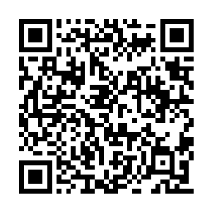 你们无数次想斩草除根都未遂的那个命大的孩子二维码生成