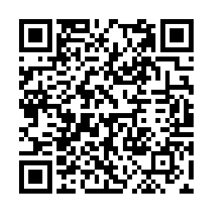 你们无法像元圣那样……做出范围性的无差别防御二维码生成