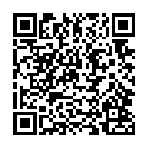 你们是哪根葱……这次叫做陈霜燃的小姑娘倒还有些魄力二维码生成