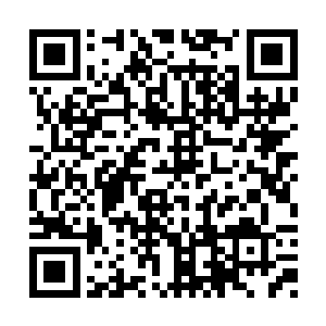 你们是想继续扩大我们天元家族在郡城内的产业二维码生成