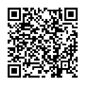 你们是打算进来找死还是给我们这群老家伙当祭品二维码生成