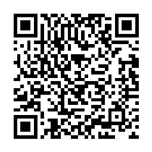你们曾经在云东抓捕到的那两个力量极大的特殊人类二维码生成
