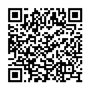 你们有这么强大的运输能力可以将所有人都运走二维码生成