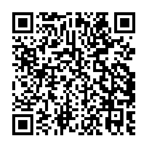 你们有24小时的时间在大峡谷平原地带进行修整以及寻找其他同伴二维码生成