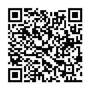 你们来了――天知道亚当从昨天就开始念叨安纳金二维码生成