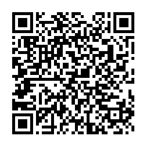 你们来到东乌国盗取新型心核武器资料的消息被东乌国情报组织知道了二维码生成