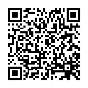 你们来这儿不会只是单纯的出来游玩这么简单吧二维码生成