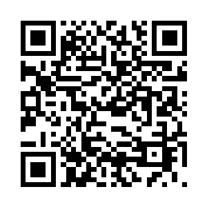 你们杨氏地产集团是不是盯了很久了二维码生成