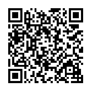 你们母女的股权加在一起应该也有百分之二十左右了吧二维码生成