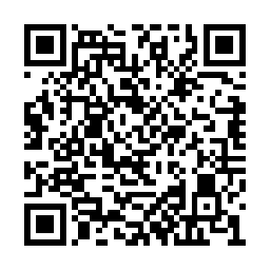 你们没事的时候我都希望你们能够陪在我的身边二维码生成