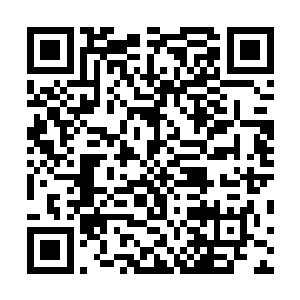你们没见到玄元岛的护岛大阵都被那赤袍老祖给攻破了吗二维码生成