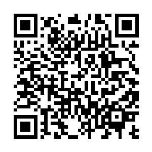 你们注意引起外域的黑属亚圣注意……外域仙道人道混合二维码生成