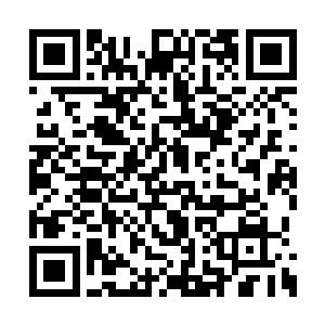 你们父子俩解除在东南航空公司内部的一切职务二维码生成