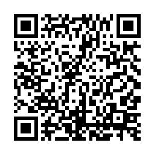 你们现在倒是可以先行准备建造天宫和神殿的灵石灵木二维码生成