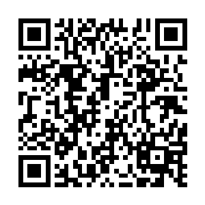 你们现在最担心的是怎么搞定lcd的那个中单选手吧二维码生成