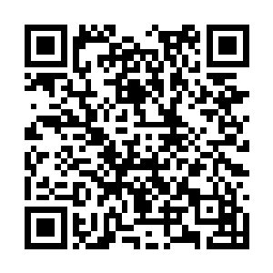 你们白蚩府符神的神力的加持印符放在什么地方的二维码生成