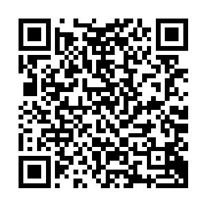 你们的反应不过是地球时代权贵和富豪们面临陨石天灾时的翻版二维码生成