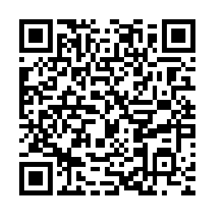 你们的首领没办法用一群大脑空空如也的白痴来控制整个圣盟二维码生成