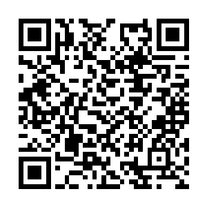 你们看到刚脆崔离与太乙玄门长老交手的经过了吗二维码生成