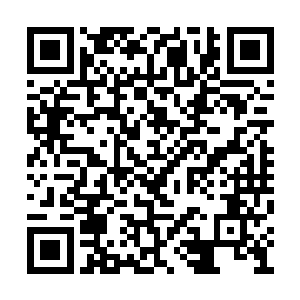 你们看这局比赛真的已经打到一个白热化程度了二维码生成